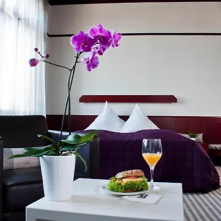 فندق نوير كارلزهوف بادن بادن