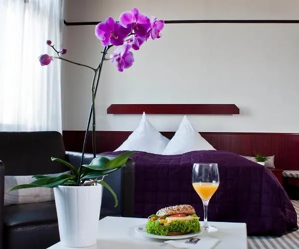 ホテル ノイアー カールスホフ バーデン＝バーデン